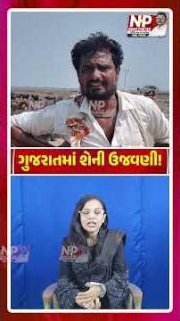 Gujarat માં શેની ઉજવણી! PM Modi | BHUPENDRA PATEL | News Porter | BJP | Harsh Sanghavi | NP News