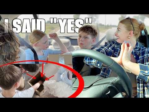 BIG NEWS for our family… ‼️🐣 (doing things different, reveal + names)