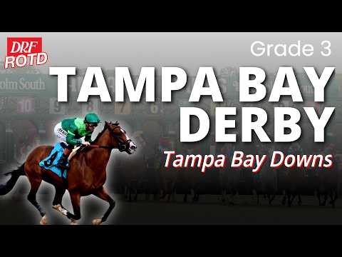 G3 Tampa Bay Derby Picks & Analysis | DRF Saturday ROTD