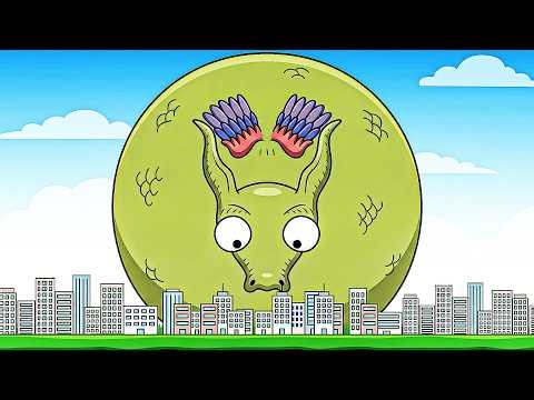 When you never stop feeding your pet