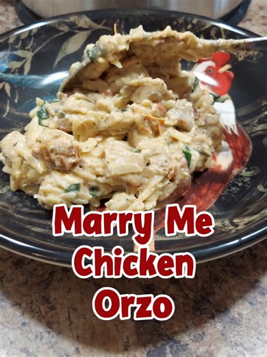 Marry Me Chicken Pasta became a viral trend because of its bold flavors and how easy it is to make. My Marry Me Chicken Orzo is my take on that viral recipe but with a few secret ingredients that takes mine to another level marry me chicken pasta marry me chicken orzo marry me chicken pasta recipe marry me chicken orzo recipe how to make marry me chicken pasta what is marry me chicken pasta easy pasta dishes easy pasta recipes easy pasta meals easy family dinners easy family meals secret ingredi