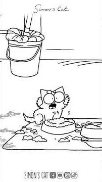 MESSY CATS MESSY HOME