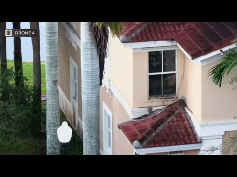 French bulldog stolen after man pistol whipped, Miramar police say