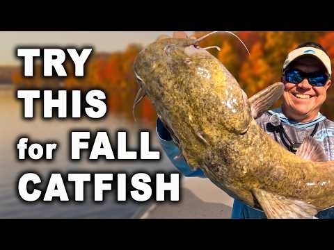 Fall Catfishing Tips and Tricks That Work
