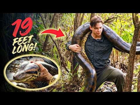 We Caught This 19ft GIANT ANACONDA in the Amazon! 😳
