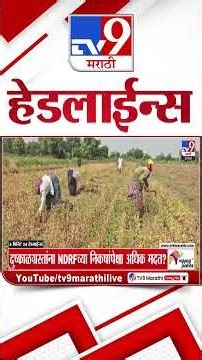 Tv9 Marathi News Top Headline Today | 22 October 2026 | 4 Minute 24 Headline Maharashtra