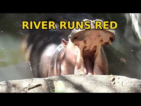 The River Runs Red: The Hippo's War for the Water