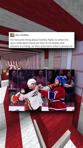 Hockey Fights Are Nuts