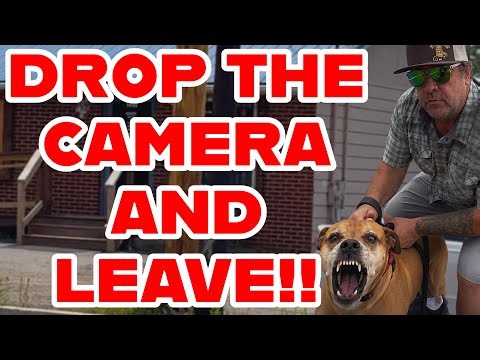 Karen THREATENS First Amendment Auditor WITH DOG!!! COPS CALLED!!!🚨🔥