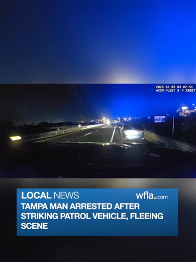 Florida Man Arrested After Striking Patrol Vehicle