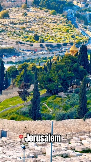 Looking down into the Kidron Valley and Garden of Gethsemane from the Mount of Olives🕊️#Jerusalem