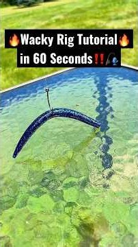 Wacky Rig Fishing Tutorial in 60 Seconds‼️🎣