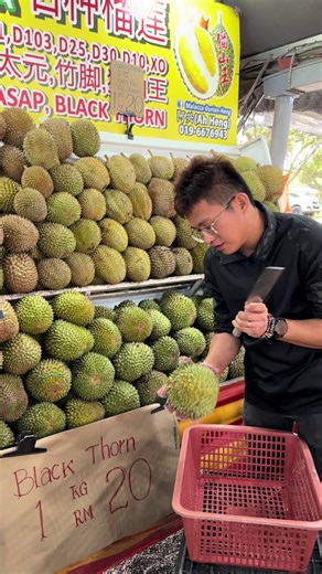 Unboxing Durian BlackThorn: A Must for Durian Lovers