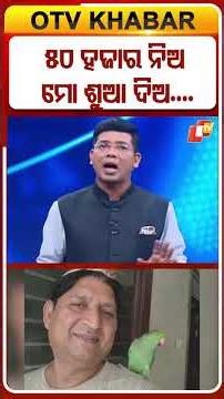୫୦ ହଜାର ନିଅ ମୋ ଶୁଆ ଦିଅ...#OTV #OTVShorts #Odisha #parrot