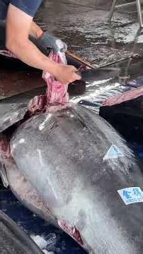Watch how experts master bluefin tuna cutting #黑鮪魚 #KitchenSkills #FishCutting