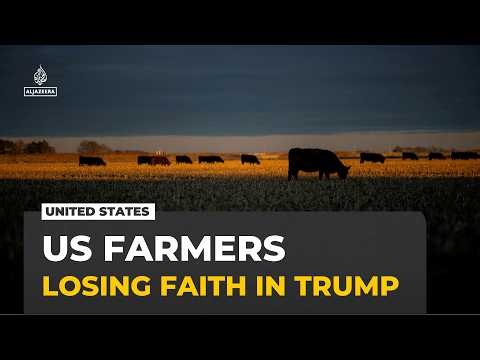 US farmers squeezed by trade war, losing faith in Trump