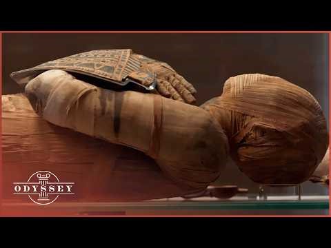 The Largest Discovery At Saqqara: Uncovering The Non-Royal Elite