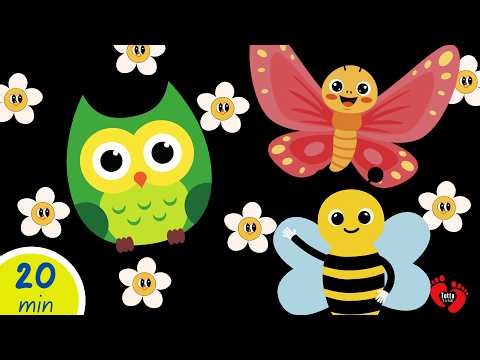Baby Sensory in Spring | High Contrast Visuals & Calm Music