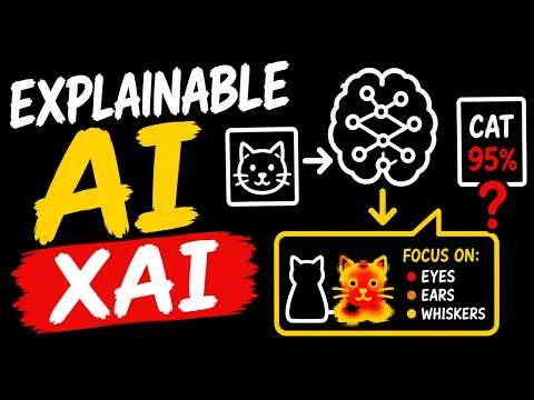 Explainable AI XAI Understanding the Why Behind Deep Learning Predictions