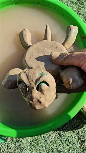 Turtle in Mud → Clean Turtle?! 😱🐢#shorts #cleaning