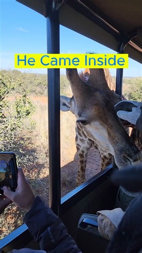 https://youtube.com/@travelingisfoodforthesoul?si=5i1HYGQ4ungETvc8