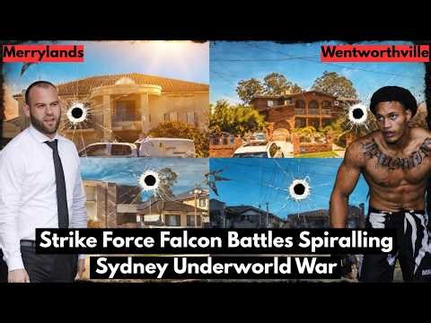 Strike Force Falcon Battles Spiralling Underworld War against Alameddine OCN