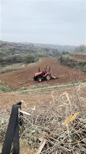 Uyghur Garden
