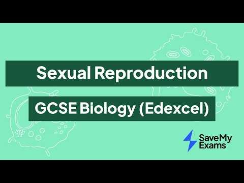 Sexual Reproduction: GCSE Biology (Edexcel)
