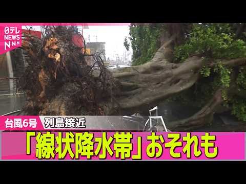 【台風6号接近】沖縄直撃、倒木や停電など被害相次ぐ このあと「暴風域」伴い本州接近へ ── ニュースライブ（日テレNEWS LIVE）