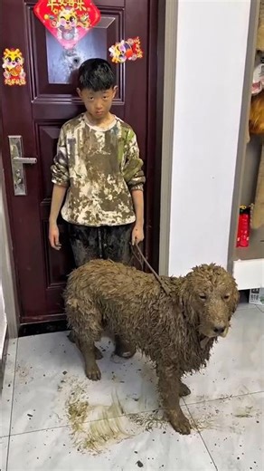 😜🪣 Dog Innocent, Kid Guilty — Mud Twist Ending! 🤯