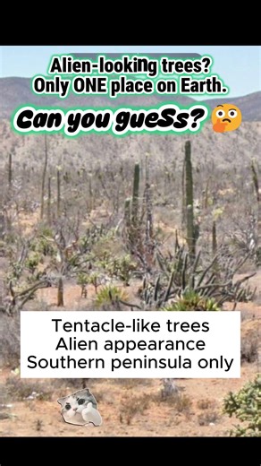 These alien trees grow in just ONE region! 🌍 #GeoGuessr