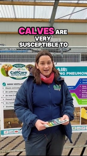 Dairy Women Ireland on Instagram: "🎥 Calf Care Series — Episode 3 We’re finishing our calf care series with practical advice from Michelle McGrath of Animal Health Ireland @animalhealthire recorded at our Connacht on-farm event. 🐄 Michelle focuses on keeping young calves warm, dry, and comfortable, while still allowing good ventilation. It’s about getting the balance right and protecting calves from tempretures stress. Simple, sensible management that makes a real difference in the first few w