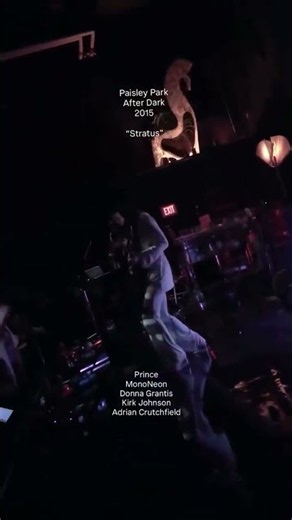 Prince Live at Paisley Park 2015
