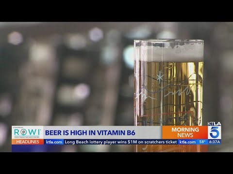 Could beer be good for your brain? New findings explained