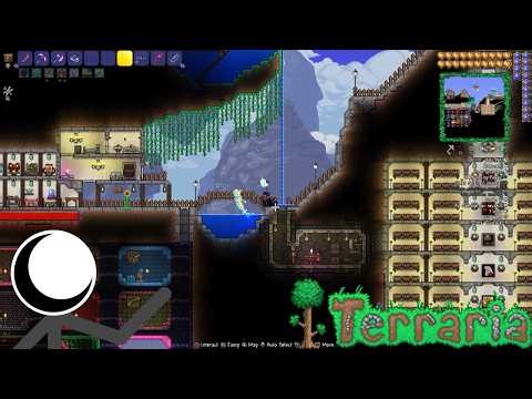 My Old Terraria Worlds Look Insane