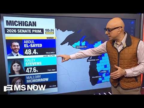 Divisions among Michigan Democrats weigh on Senate race: Velshi BREAKS IT DOWN