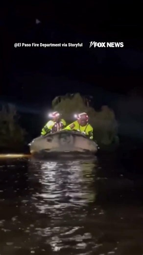 Dog rescued during Texas FLASH FLOOD #shorts