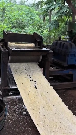 How Are Rubber Sheets Made? #shorts