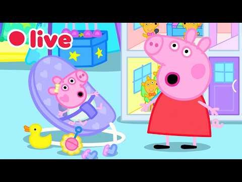 🔴 LIVE: Cutest Baby Evie Episodes 🍼 Peppa Pig Best Big Sister Moments✨Kids Cartoons 🐷 FULL Episodes