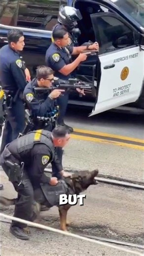 😱POLICE MALINOIS TAKES SUSPECT DOWN IN SECONDS! 🐕