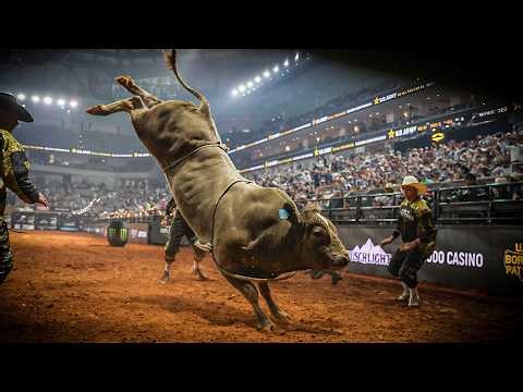 Unstoppable Animal Athletes: Round 4 Top Bull Scores