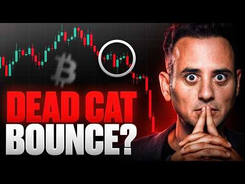 Was This Whole Crypto Move a Dead Cat Bounce?