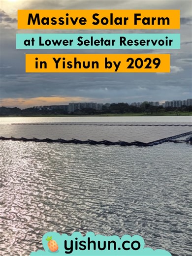 Yishun will get a massive floating solar farm at Lower Seletar Reservoir by 2029. The new floating solar farm—spanning 115 hectares, the size of 150 football fields —will cover 36% of the reservoir’s surface. #DiscoverYishun #Yishun #Neesoon #singapore #新加坡 #义顺 #BeautifulDestinations