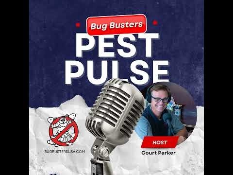 How Sentricon System Protects Your Home from Termites