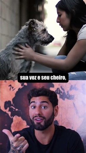 Isso Acontece Quando Cachorros Morrem?