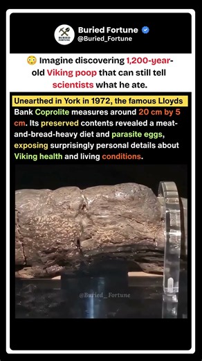 The 1,200-Year-Old Viking Poop That Rewrote History 💩 #shorts #viral #history #trending #facts