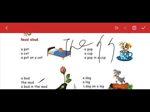 BASIC ENGLISH, GRAMMAR USAGES. (In, on, the, a, an)