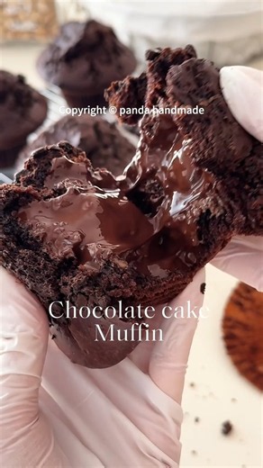 Chocolate Cake Muffins #recipe #satisfying #nahlahrsl