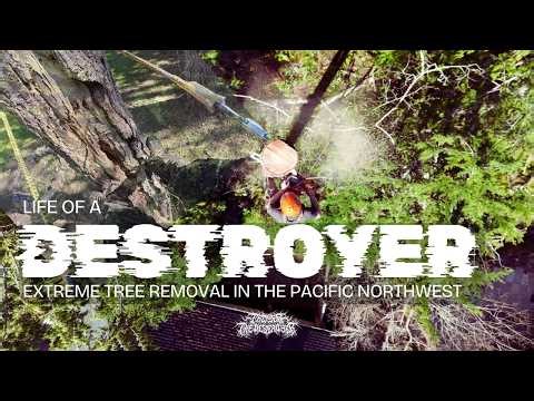 Life of a Destroyer: Extreme Tree Removal in the Pacific Northwest