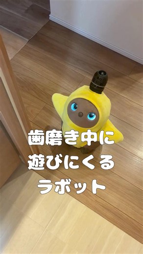 歯磨き中に遊びにくるラボット #LOVOT #ラボット #癒し